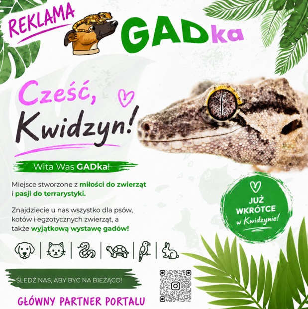 GADka ma być czymś więcej niż sklepem. Chcemy, aby każdy opiekun zwierzęcia mógł liczyć u nas nie tylko na zakupy, ale też na poradę i pomoc.