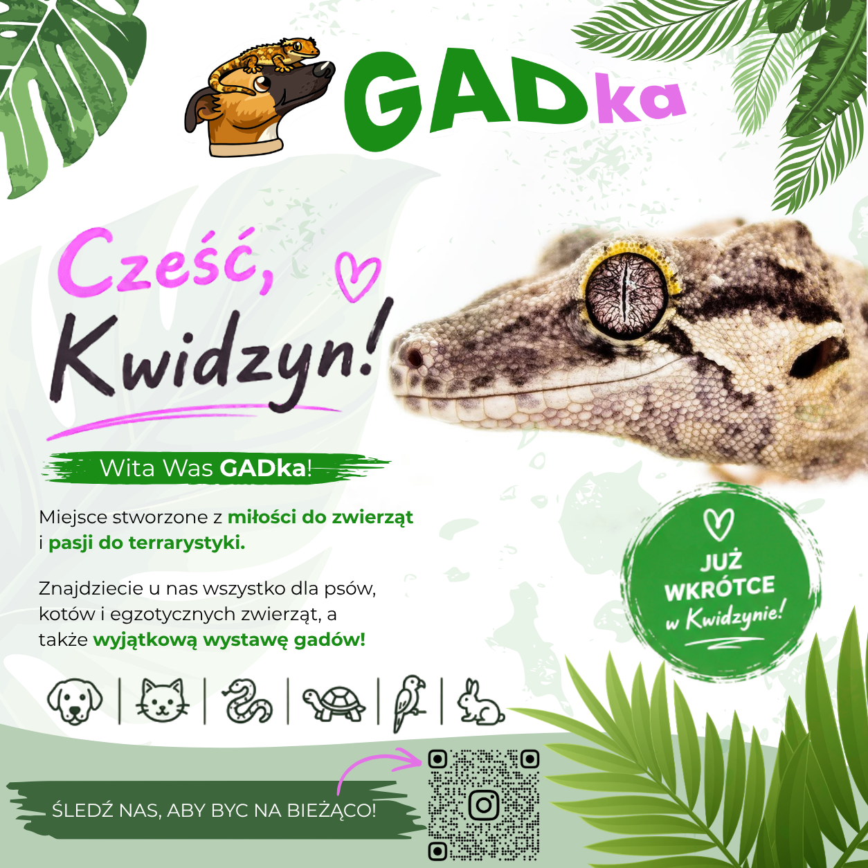 Gadka