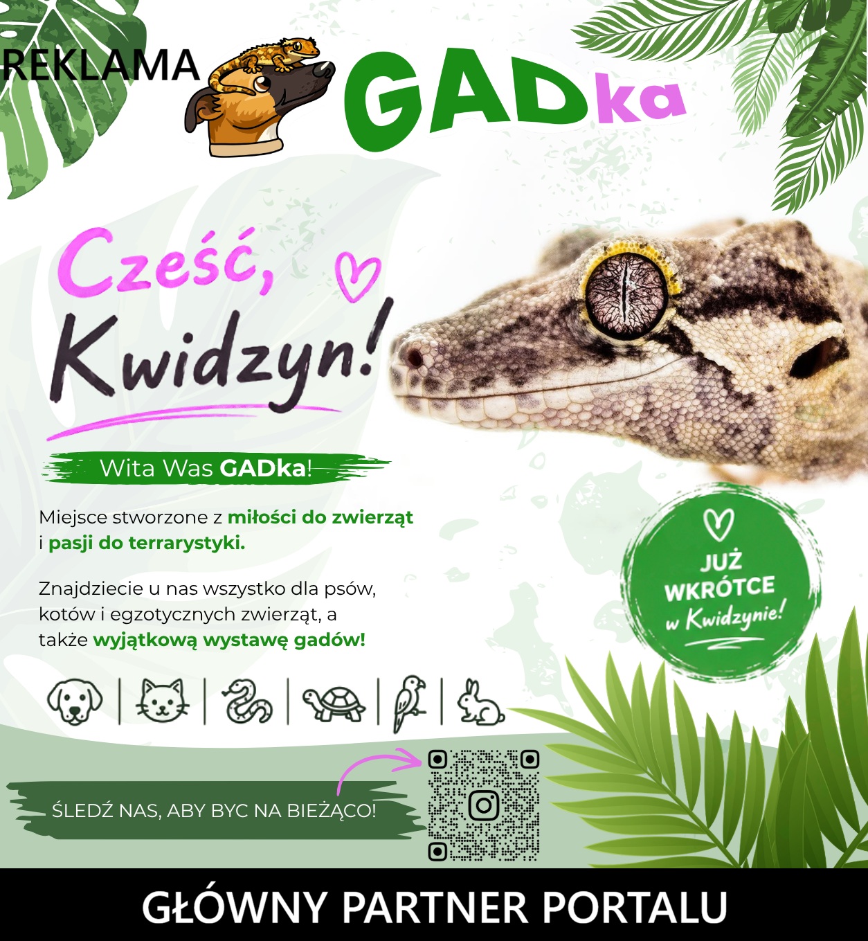 GADka ma być czymś więcej niż sklepem. Chcemy, aby każdy opiekun zwierzęcia mógł liczyć u nas nie tylko na zakupy, ale też na poradę i pomoc.