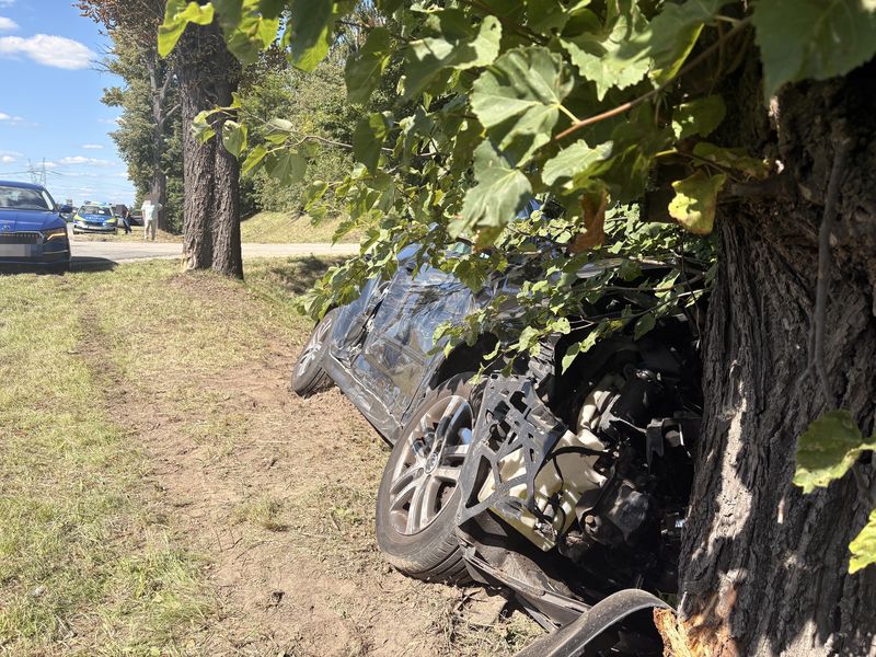 Volkswagen uderzył w drzewa Alternatywa ZDERZENIE MIĘDZY GÓRKAMI A RAKOWCEM