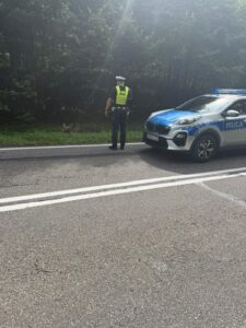 Dzikie zwierzę przy drodze – apel policji do kierowców przed jesienią