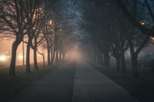Przebudowa ul. Leśnej w Rakowcu – droga powiatowa nr 3201G Tychnowy–Rakowiec